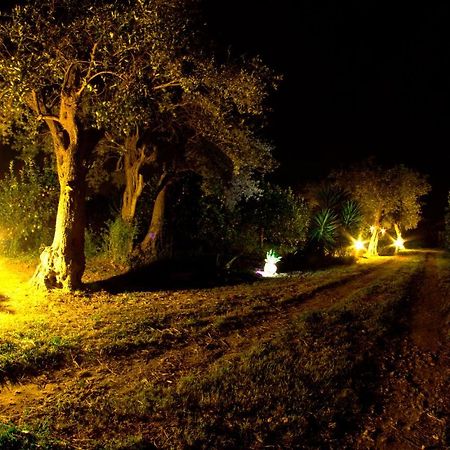 Alle Riserve Vendicari Casa Maccari Luaran gambar